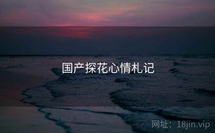 国产探花心情札记