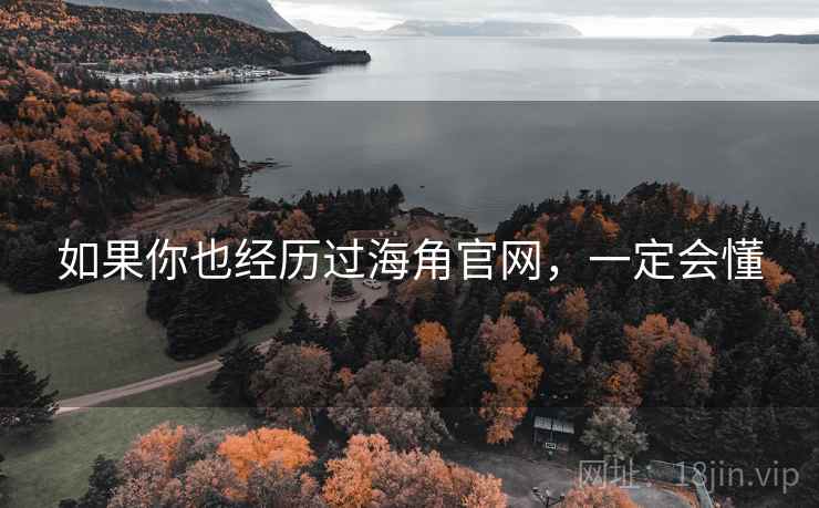如果你也经历过海角官网，一定会懂