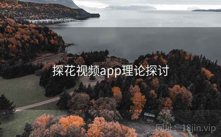 探花视频app理论探讨