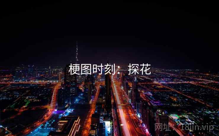 梗图时刻：探花