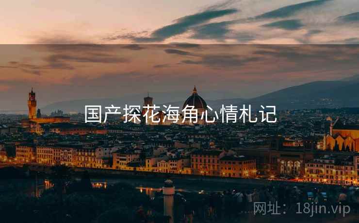 国产探花海角心情札记