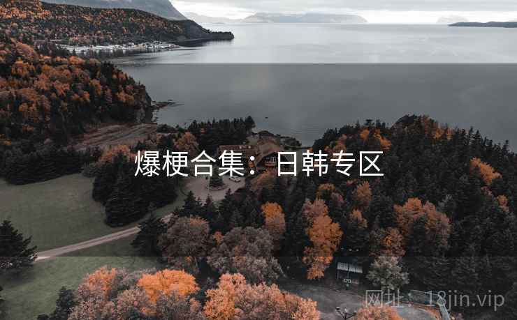 爆梗合集:日韩专区