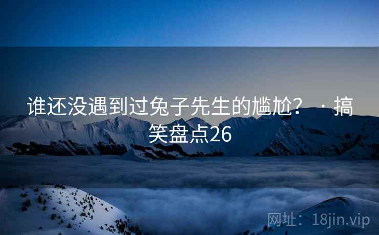 谁还没遇到过兔子先生的尴尬？ · 搞笑盘点26
